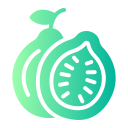 guayaba icon