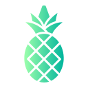 piña icon