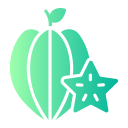 fruta estrella icon