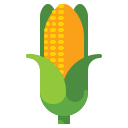 Corn icon