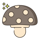 champignons 