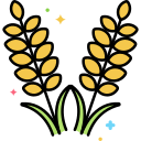 Grain 