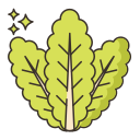 végétarien 