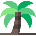 Palmera datilera icon