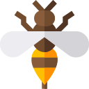 Abeja icon