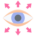 ojo icon