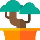 Bonsai icon