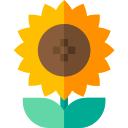 Girasol icon