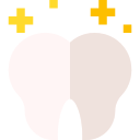 Molar icon