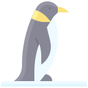 pingüino icon