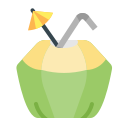 bebida de coco icon