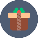 caja de regalo icon