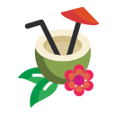 bebida de coco icon