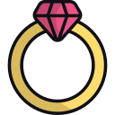 anillo icon