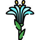 Lilium icon