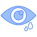 ojo icon