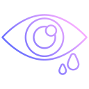 ojo icon