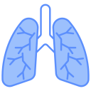 pulmones icon