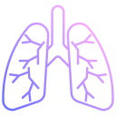 pulmones icon