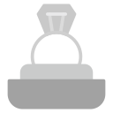 anillo icon