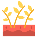 campo de arroz icon