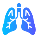 pulmones icon