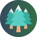 pinos icon