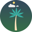 palmera icon