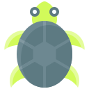 tortuga icon