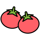 tomates icon