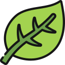 hoja icon