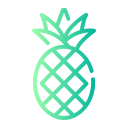 piña icon