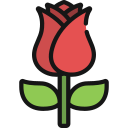 rosa icon