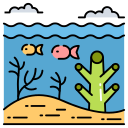 Coral icon