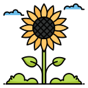 Sun flower icon