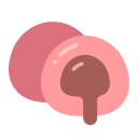 mochi icon