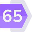 65 icon