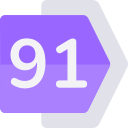 91 icon