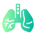 pulmones icon