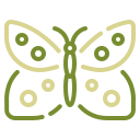 mariposa icon