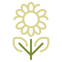 girasol icon