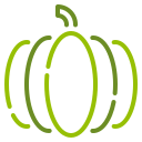 calabaza icon