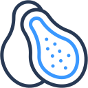 papaya icon