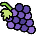 uvas icon