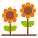 girasol icon