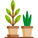 Plantas icon