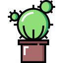 Cactus icon