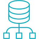 redes de bases de datos 