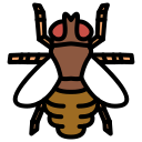 mosca de la fruta icon