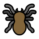 araña icon